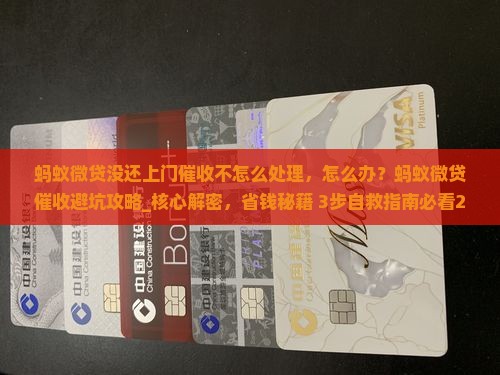 蚂蚁微贷没还上门催收不怎么处理