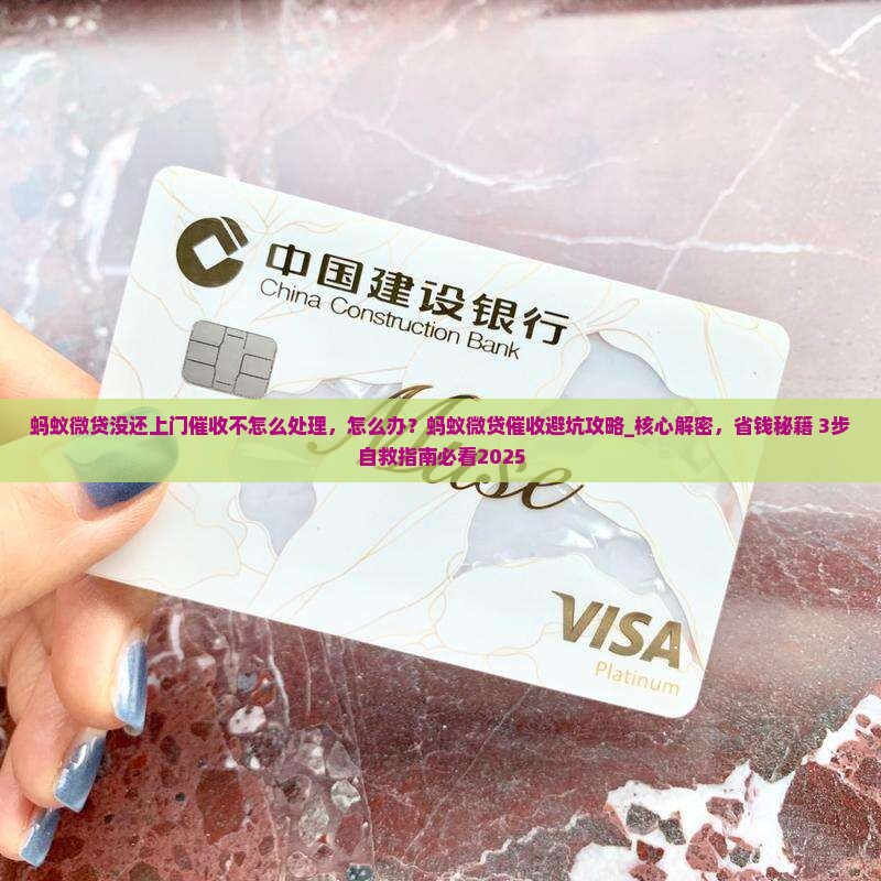 蚂蚁微贷没还上门催收不怎么处理