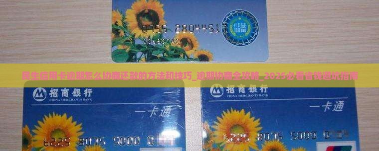 民生信用卡逾期怎么协商还款的方法和技巧